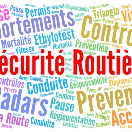 SYSTEMES DE MANAGEMENT DE LA SECURITE ROUTIERE (SMSR) 2023-2024